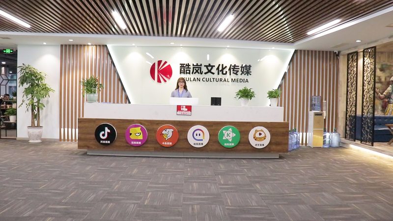 宣传片与广告片：受众差异解析